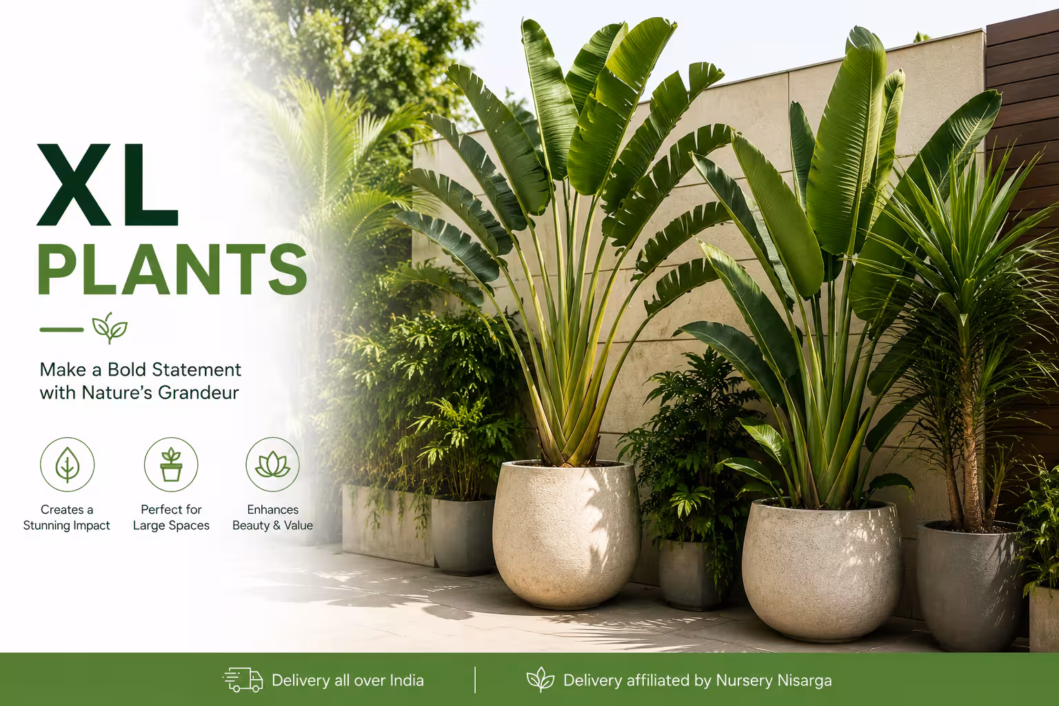 XL Plants